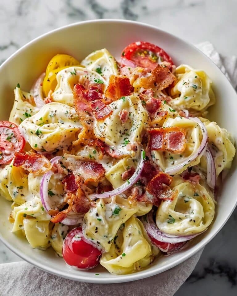 Fresh Grinder Tortellini Salad Recipe